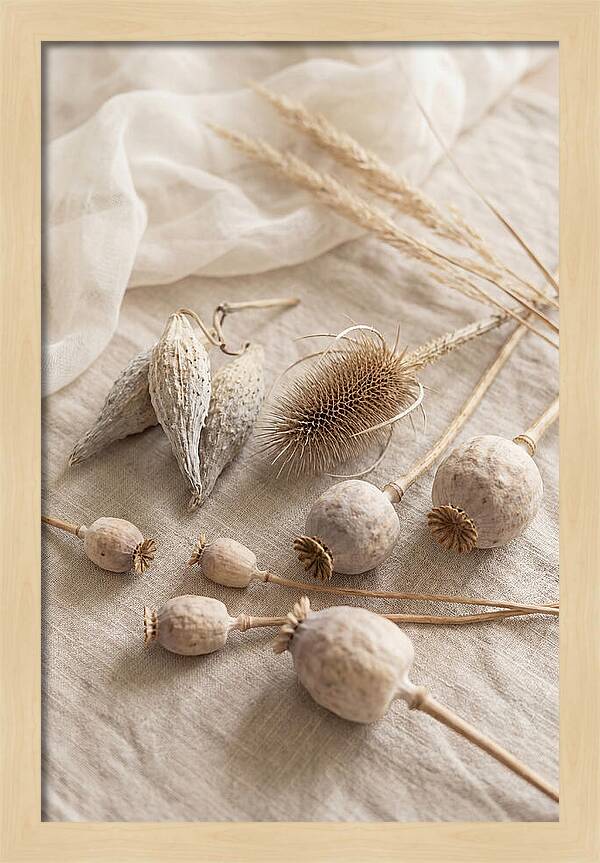Autumn Seed Pod Collection