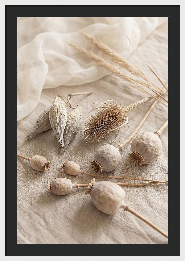 Autumn Seed Pod Collection