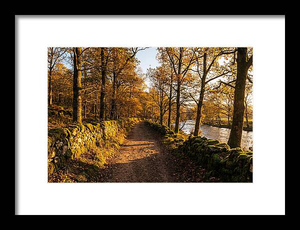 Autumn Serenity Along The Trail