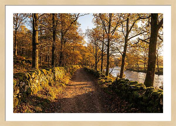 Autumn Serenity Along The Trail