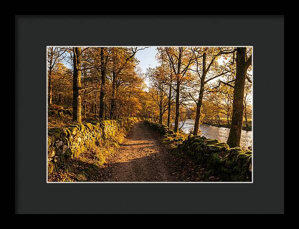 Autumn Serenity Along The Trail