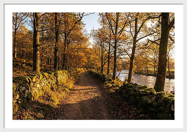 Autumn Serenity Along The Trail