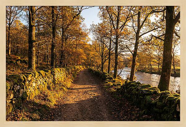 Autumn Serenity Along The Trail