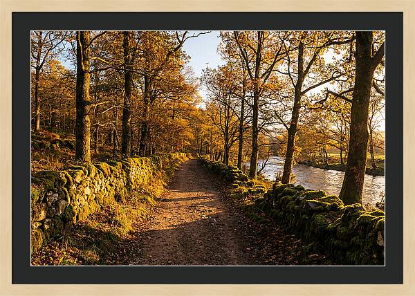 Autumn Serenity Along The Trail
