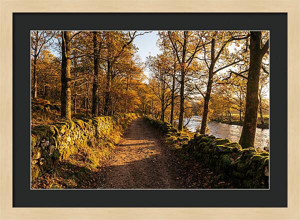 Autumn Serenity Along The Trail