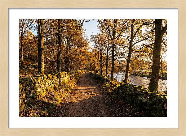 Autumn Serenity Along The Trail