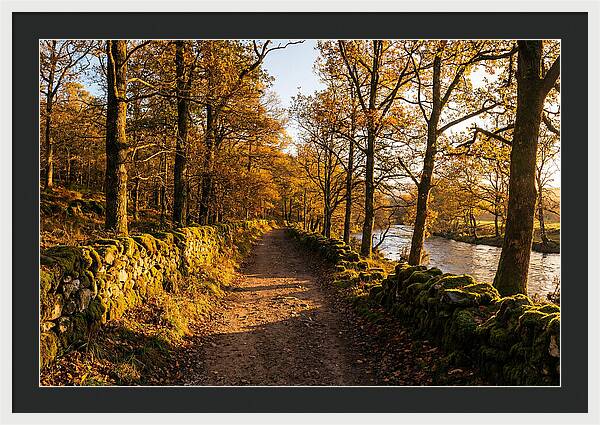 Autumn Serenity Along The Trail