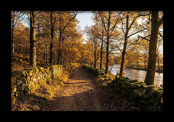 Autumn Serenity Along The Trail