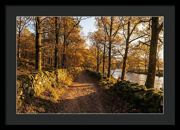 Autumn Serenity Along The Trail