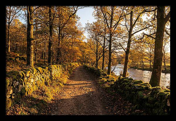 Autumn Serenity Along The Trail