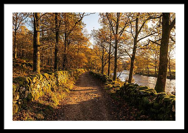 Autumn Serenity Along The Trail