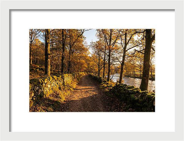 Autumn Serenity Along The Trail