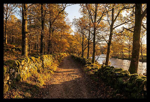 Autumn Serenity Along The Trail