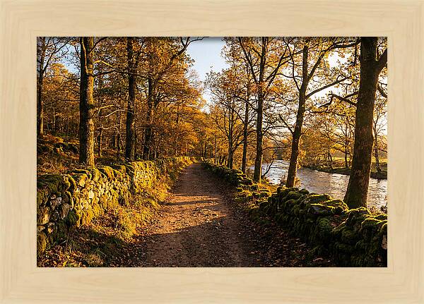 Autumn Serenity Along The Trail
