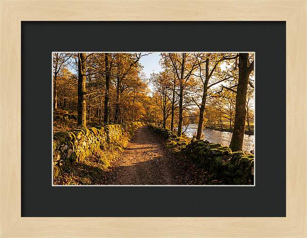 Autumn Serenity Along The Trail