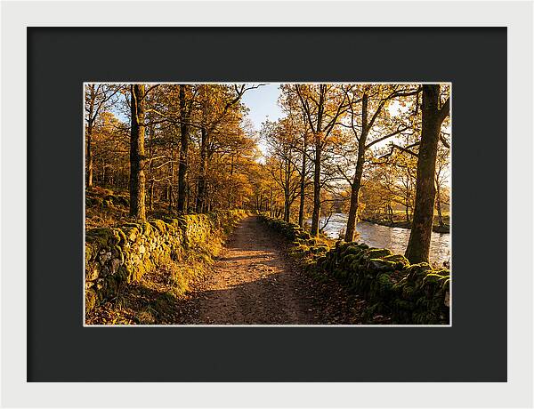 Autumn Serenity Along The Trail