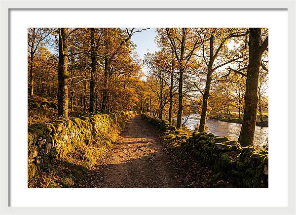 Autumn Serenity Along The Trail