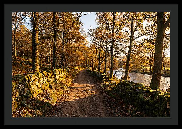 Autumn Serenity Along The Trail
