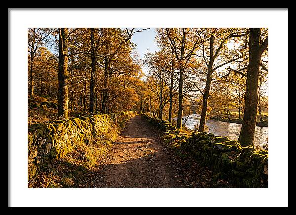 Autumn Serenity Along The Trail