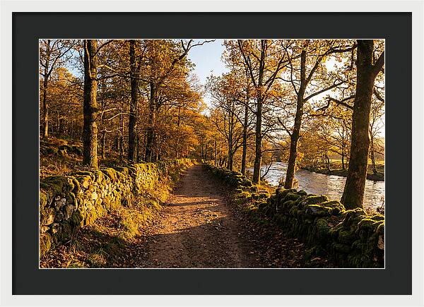 Autumn Serenity Along The Trail