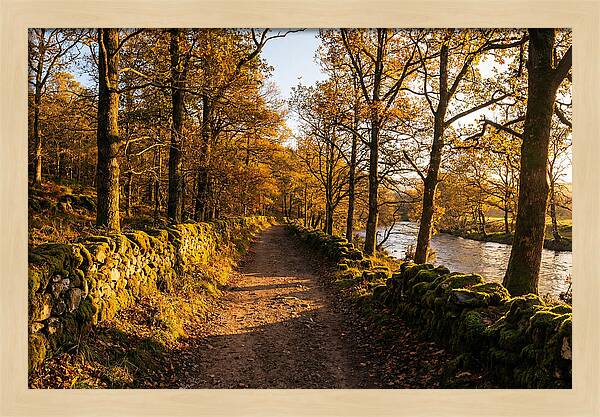 Autumn Serenity Along The Trail