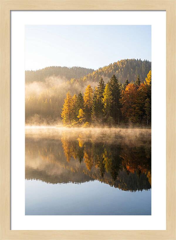 Autumn Serenity At Tishomingo Lake