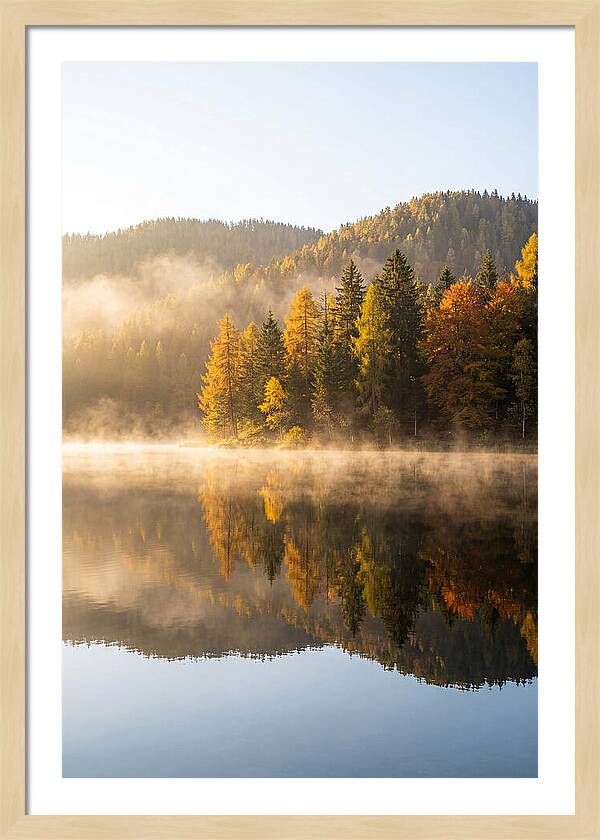 Autumn Serenity At Tishomingo Lake