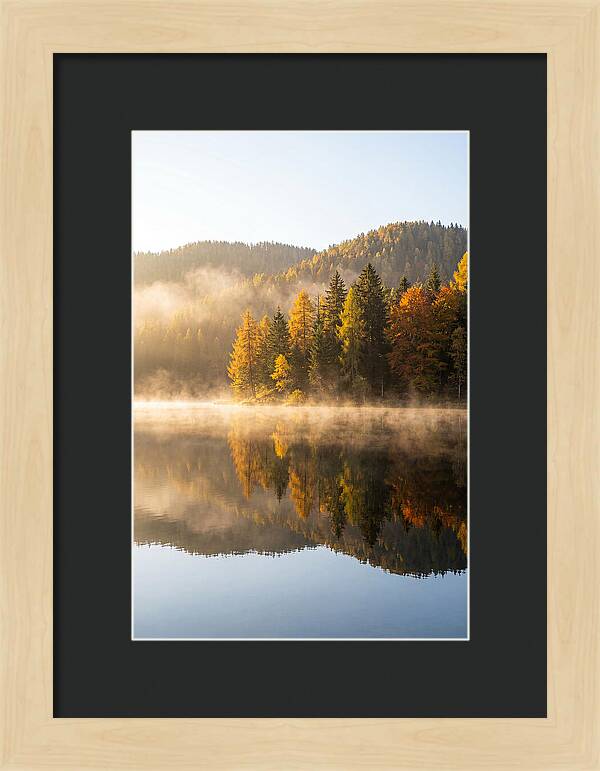 Autumn Serenity At Tishomingo Lake