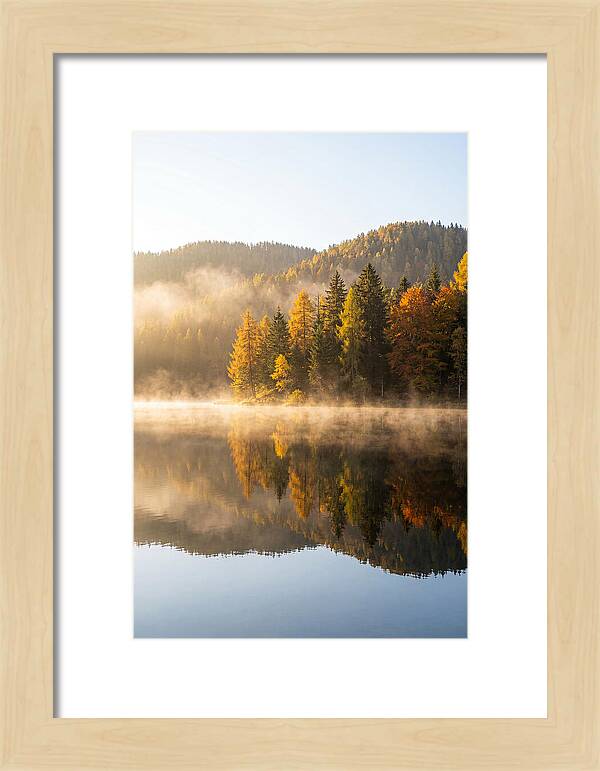 Autumn Serenity At Tishomingo Lake