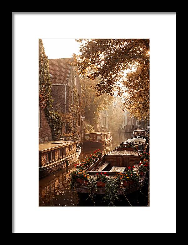 Autumn Serenity By The Canal