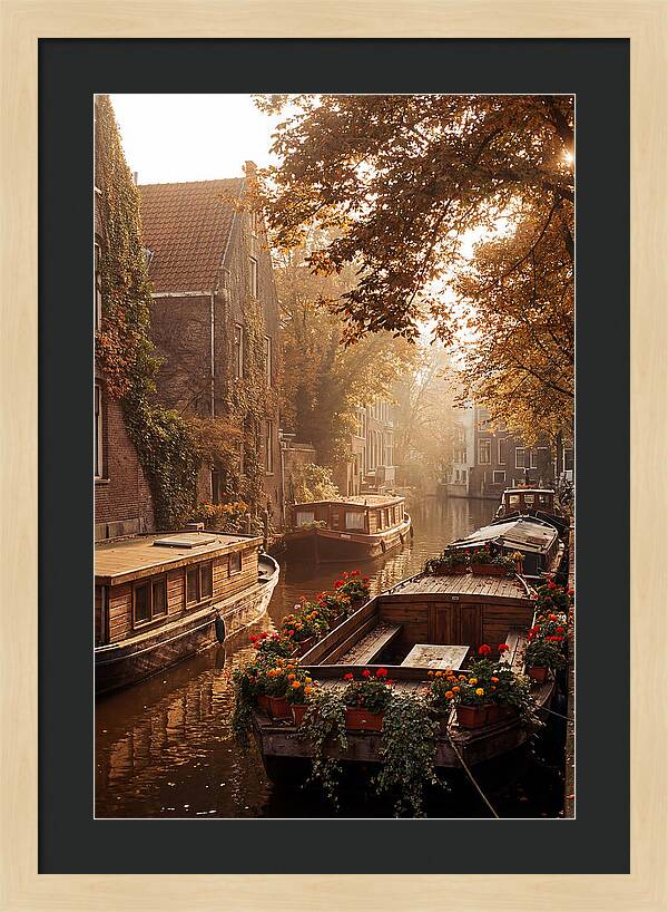 Autumn Serenity By The Canal