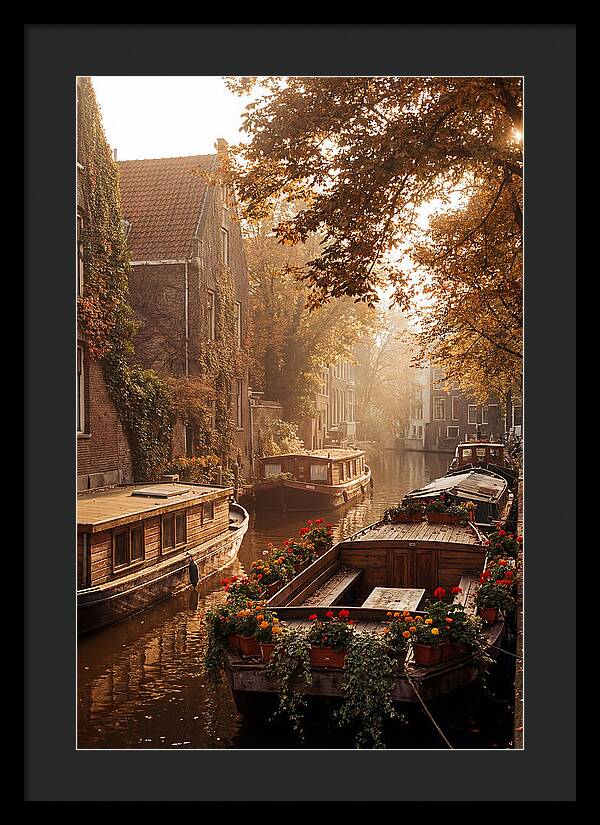 Autumn Serenity By The Canal