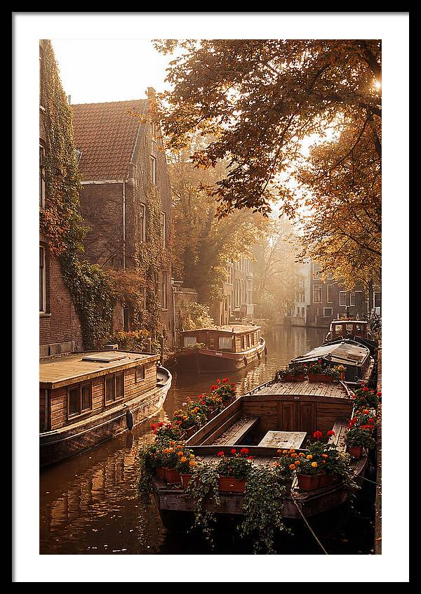 Autumn Serenity By The Canal