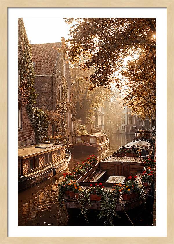 Autumn Serenity By The Canal
