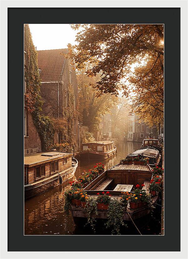 Autumn Serenity By The Canal