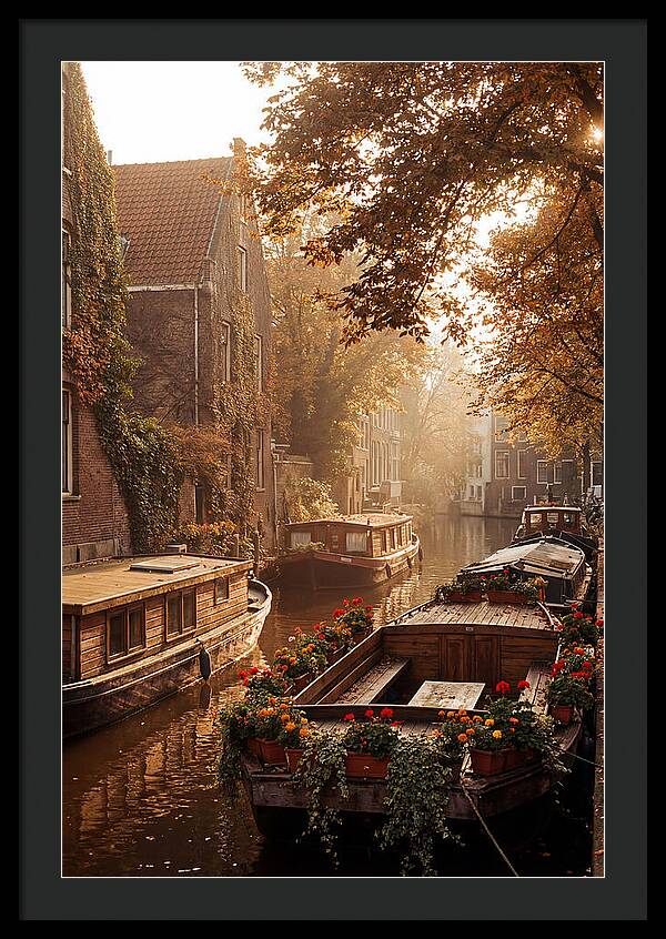 Autumn Serenity By The Canal