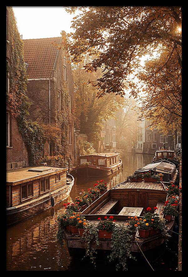 Autumn Serenity By The Canal