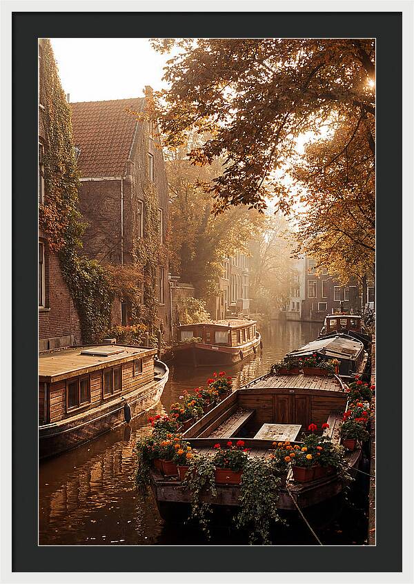 Autumn Serenity By The Canal