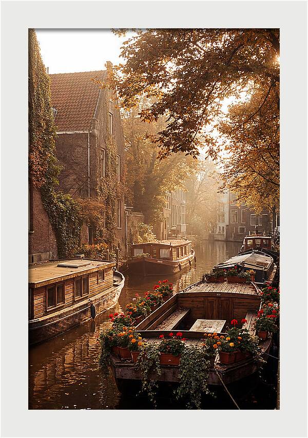 Autumn Serenity By The Canal