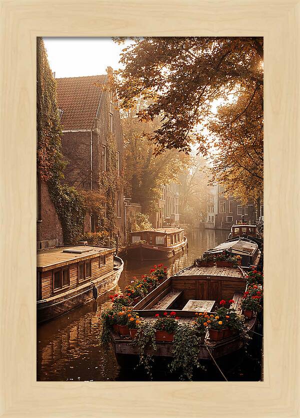 Autumn Serenity By The Canal