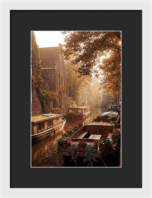 Autumn Serenity By The Canal