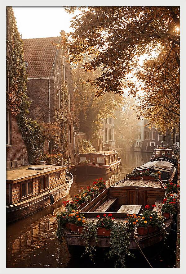 Autumn Serenity By The Canal