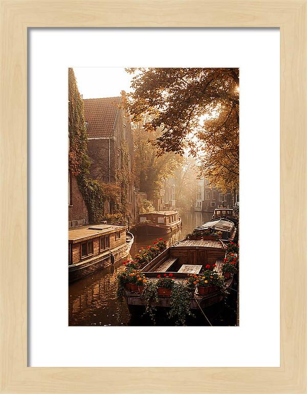 Autumn Serenity By The Canal