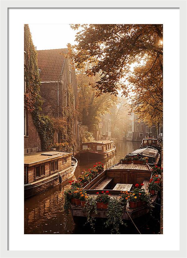 Autumn Serenity By The Canal