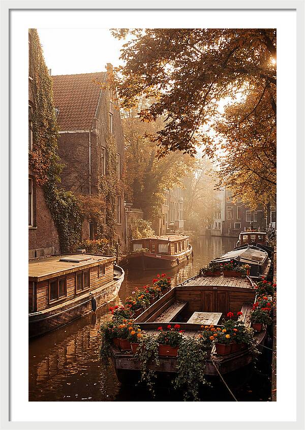 Autumn Serenity By The Canal
