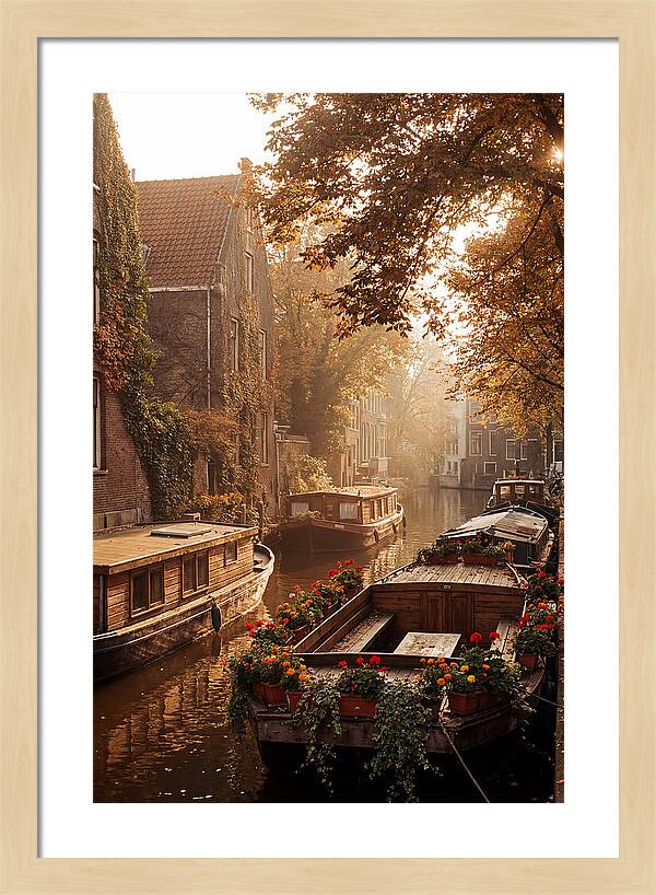 Autumn Serenity By The Canal