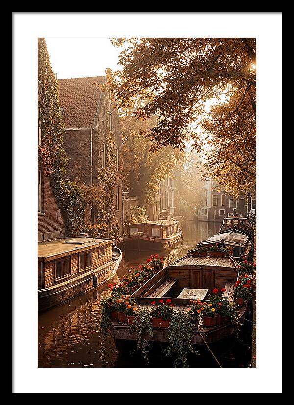 Autumn Serenity By The Canal