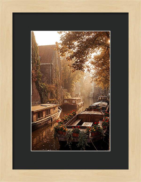 Autumn Serenity By The Canal