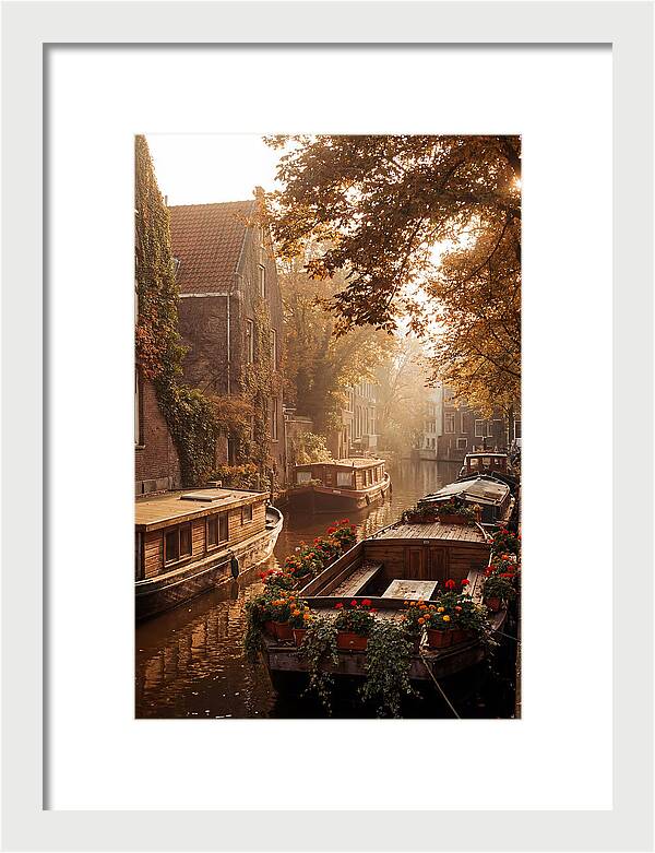 Autumn Serenity By The Canal