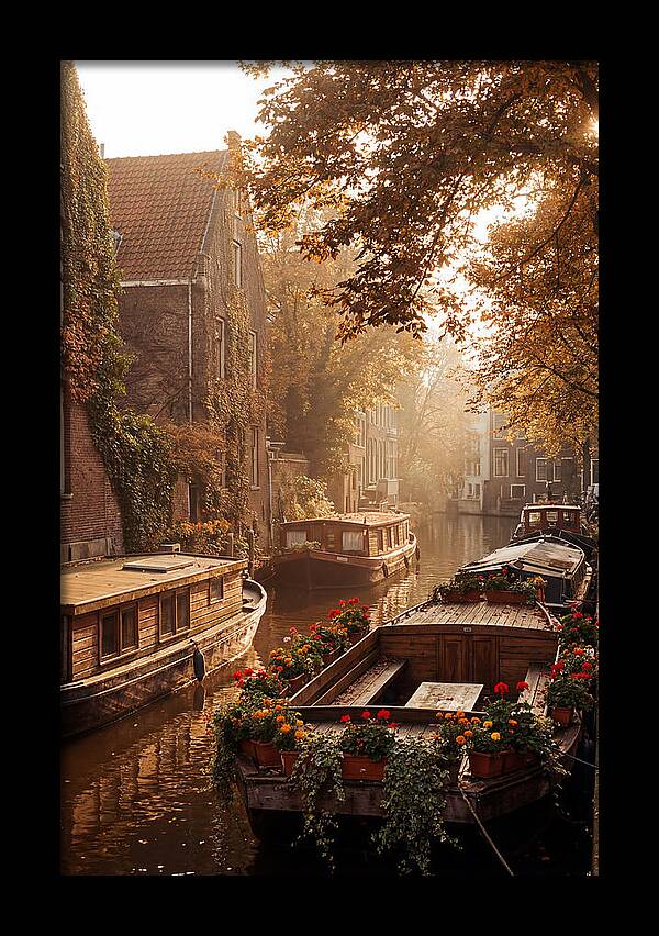 Autumn Serenity By The Canal